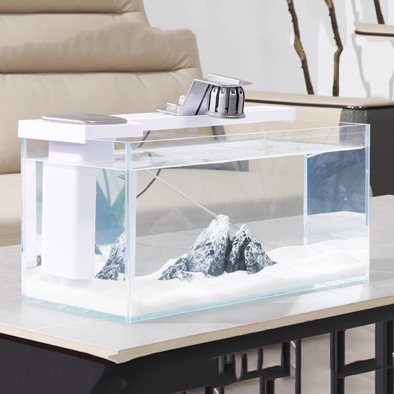 Aquarium Fish Goldfish - Small Aquariums Desktop Glass Fish Tank