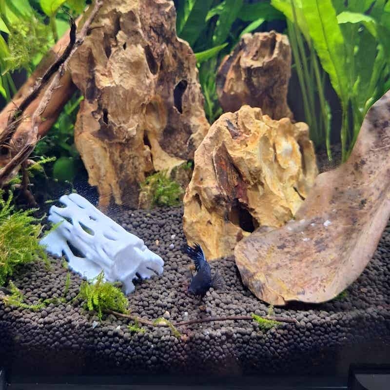 Aquarium Fish Hiding Places - Aquarium Hollow Hideout Cave Fish Shrimp
