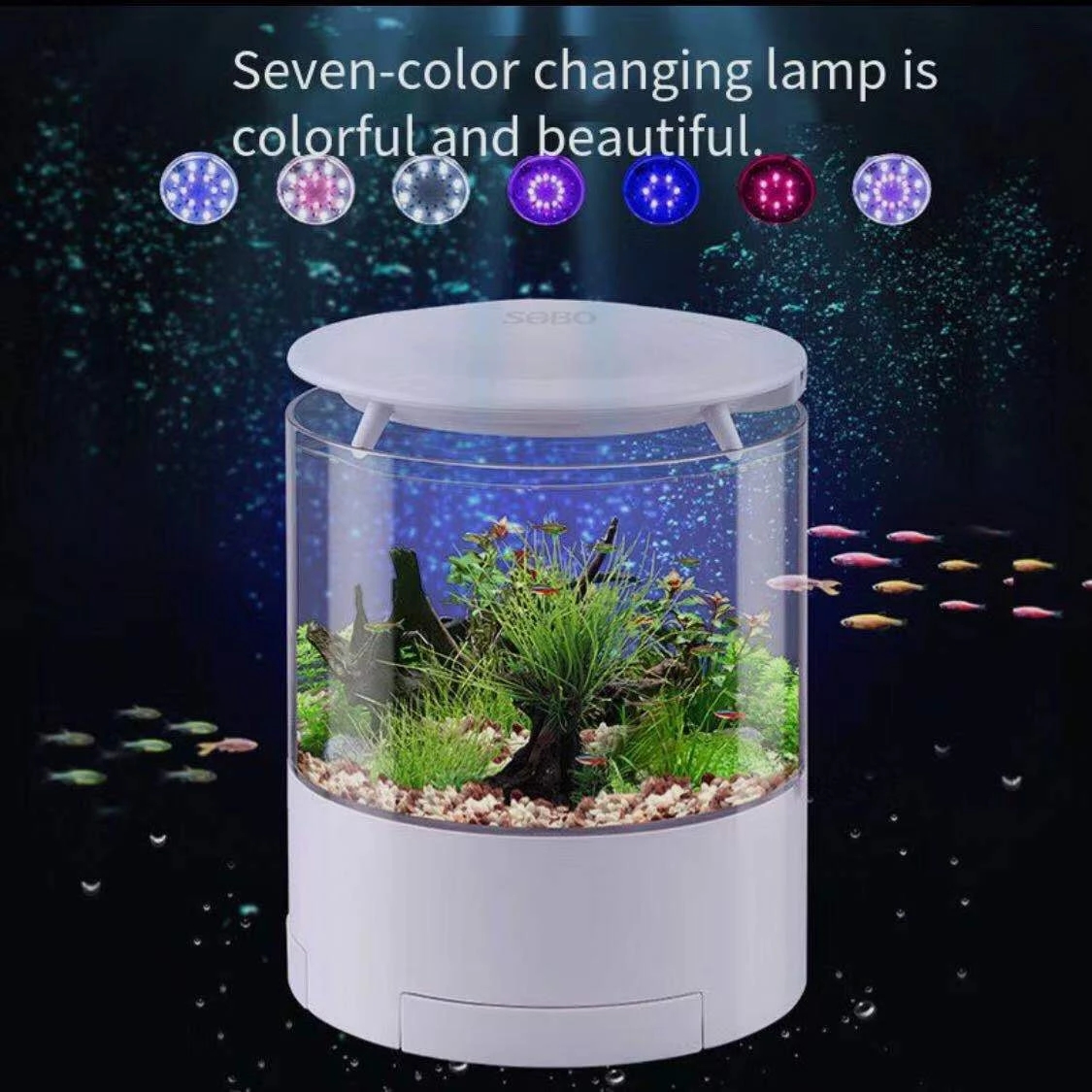 Aquarium Fish Goldfish - Round colorful lights desktop fish tank