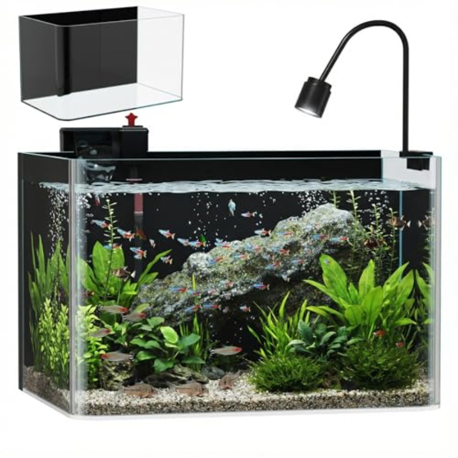 Aquarium Fish Goldfish - 10 Gallon Hot-Bent Black-Back Fish Tank,