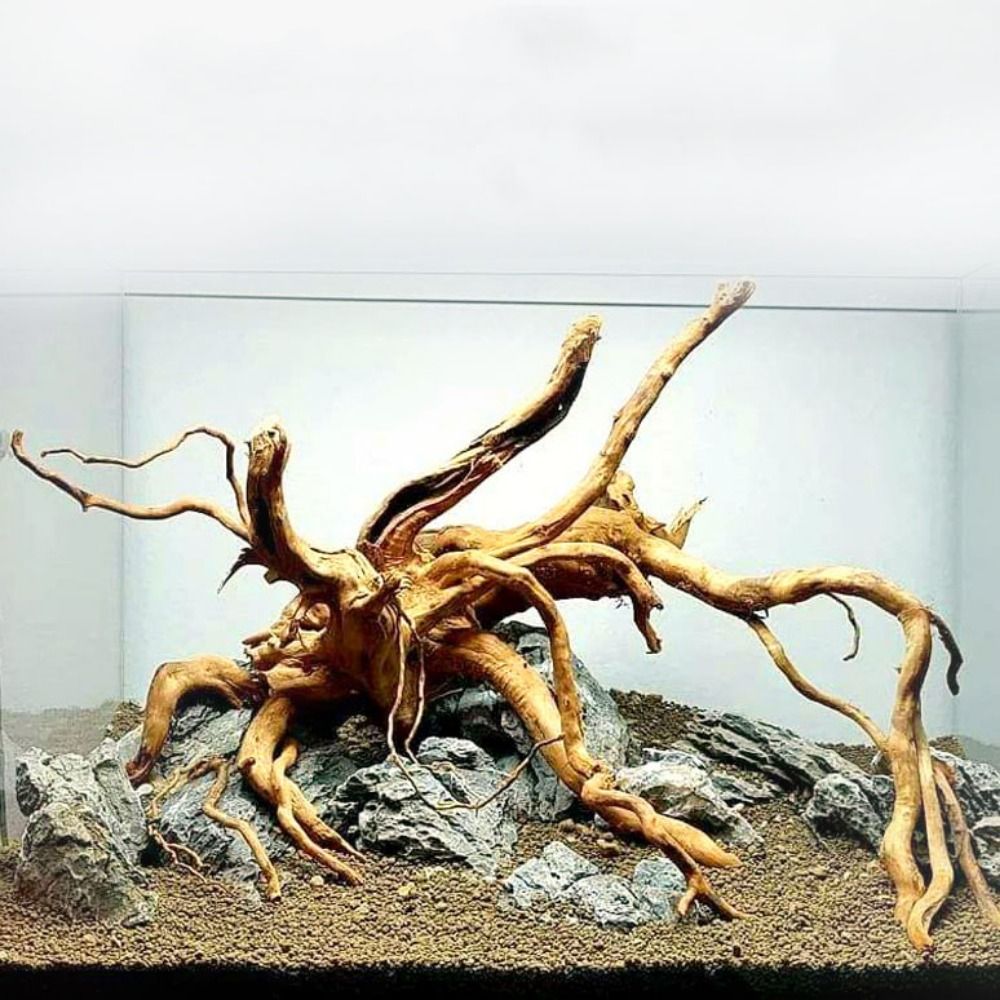 Aquarium Fish Hiding Places - Natural Tree Trunk Aquarium Decoration Wood