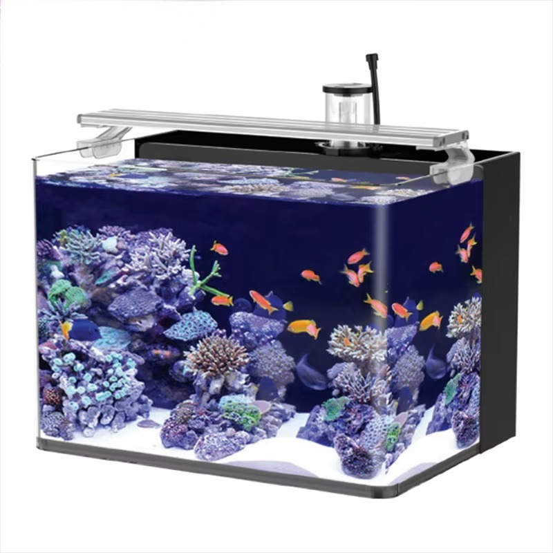 Delivery table curved seawater – Aquarium Fish Delivery Bewertung und Preis