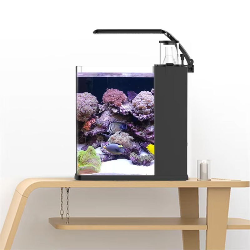 Delivery table curved seawater – Aquarium Fish Delivery Bewertung und Preis