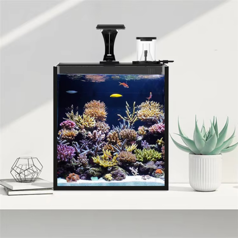 Delivery table curved seawater – Aquarium Fish Delivery Bewertung und Preis