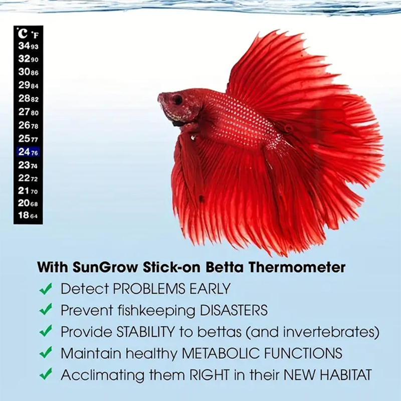 2pcs/set Aquarium Fish Tank Th – Aquarium Thermometer Bewertung und Preis