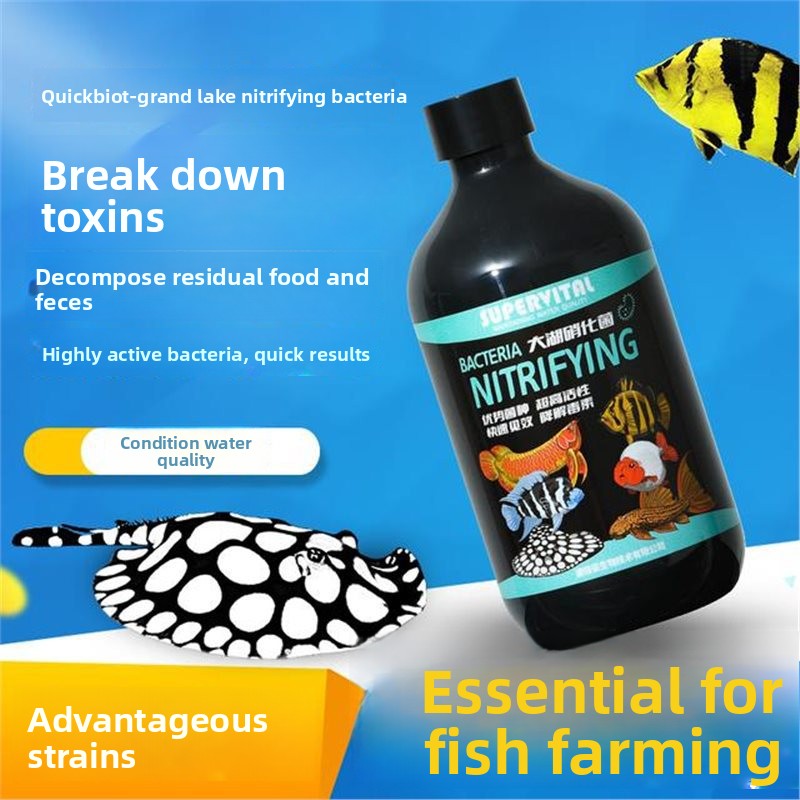 SUPERVITAL 3-in-1 Water Condit – Aquarium Fish Vitamin Bewertung und Preis
