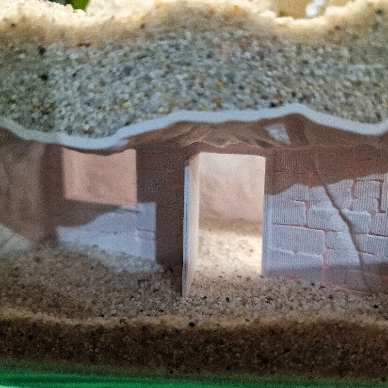 3D Printed Secret House Fish T – Aquarium Fish Hiding Places Bewertung und Preis