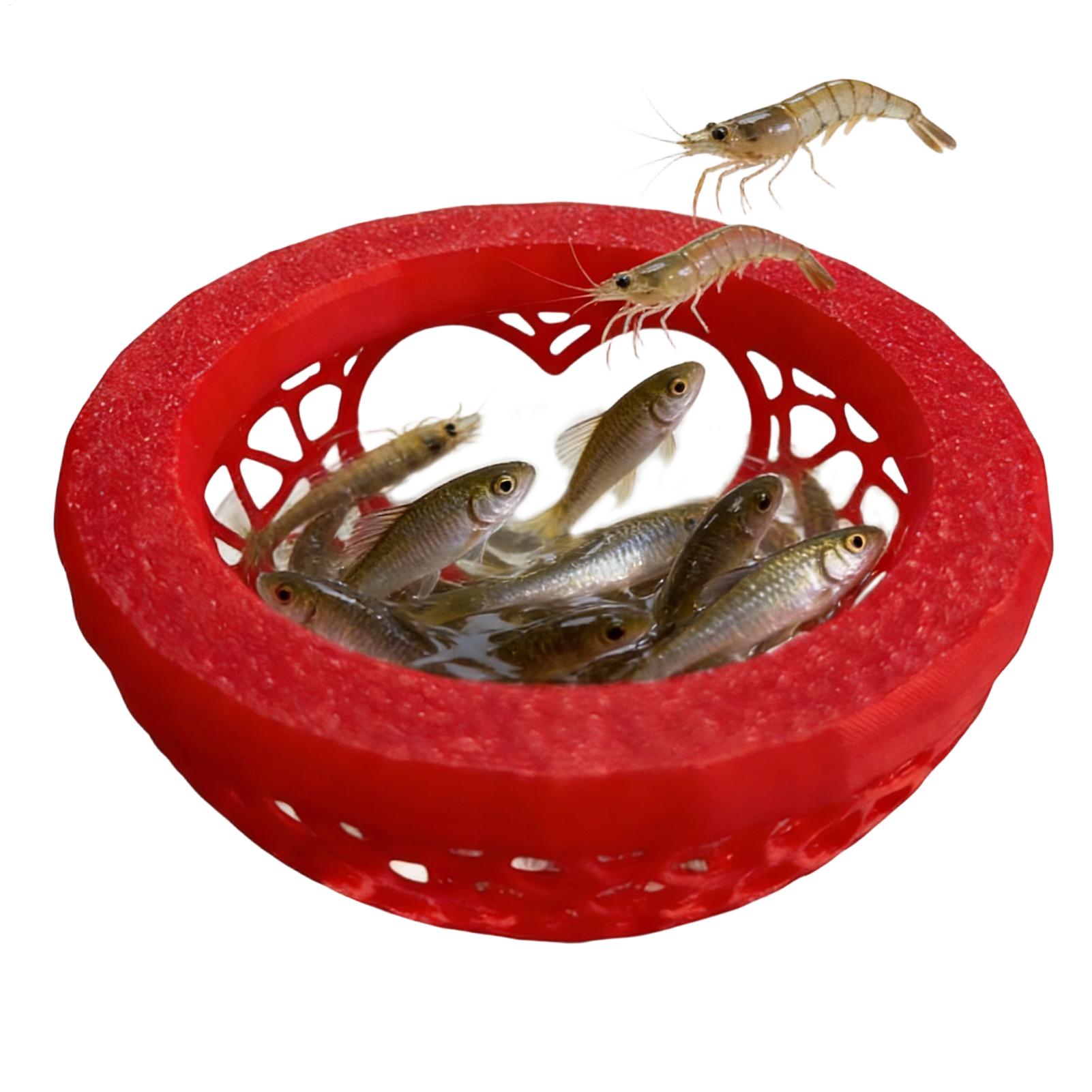 Floating betta shelter Betta h – Aquarium Fish Hiding Places Bewertung und Preis