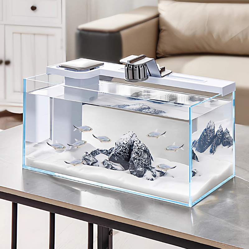 Small Aquariums Desktop Glass  – Aquarium Fish Goldfish Bewertung und Preis