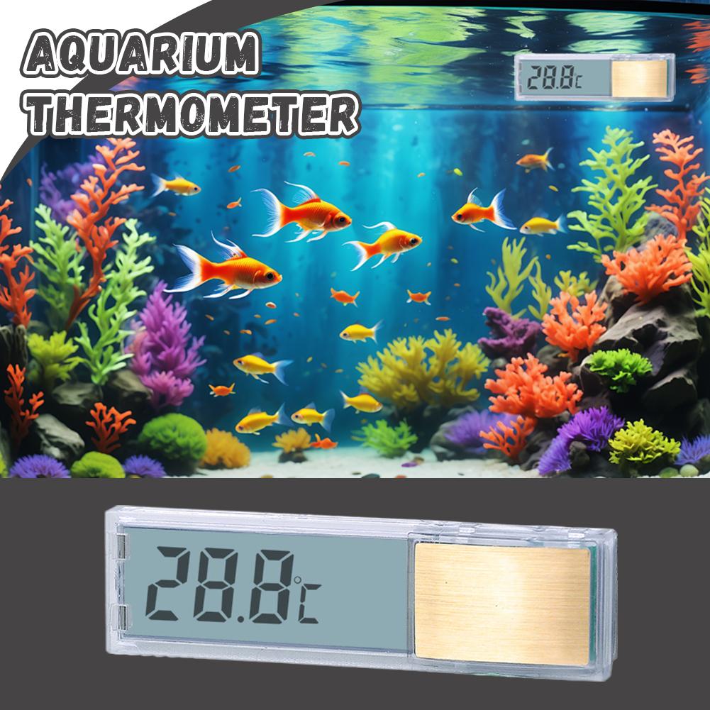 1pcs Aquarium Thermometer Elec – Aquarium Thermometer Bewertung und Preis