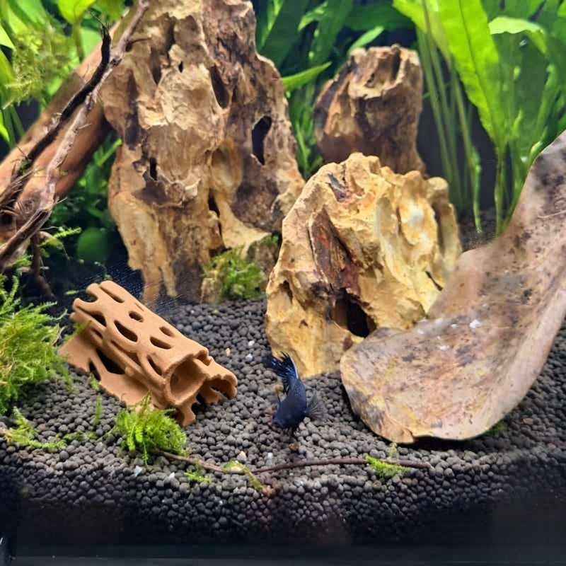 Aquarium Hollow Hideout Cave F – Aquarium Fish Hiding Places Bewertung und Preis