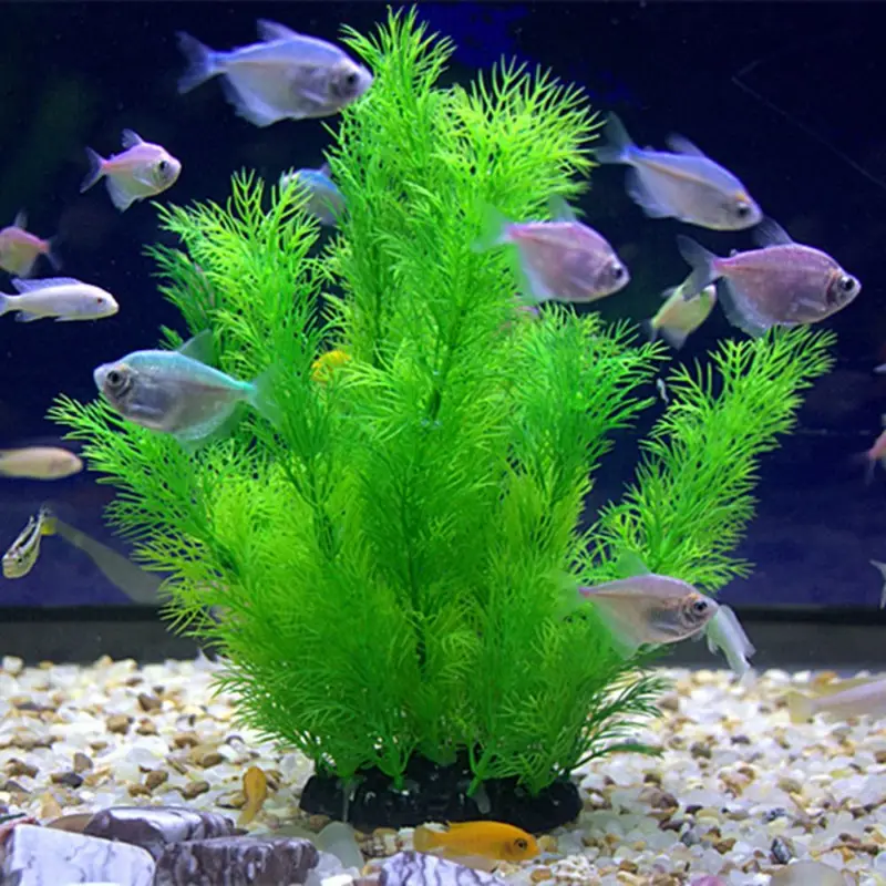 Artificial Aquarium Decor Plan – Aquarium Fish Hiding Places Bewertung und Preis