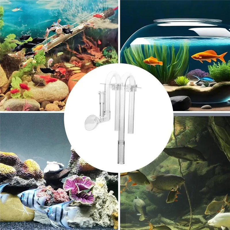 【Fast Delivery】Aquarium Inlet  – Aquarium Fish Delivery Bewertung und Preis