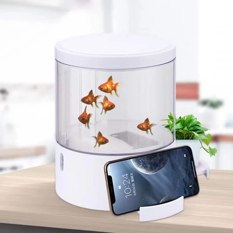 Round colorful lights desktop  – Aquarium Fish Goldfish Bewertung und Preis