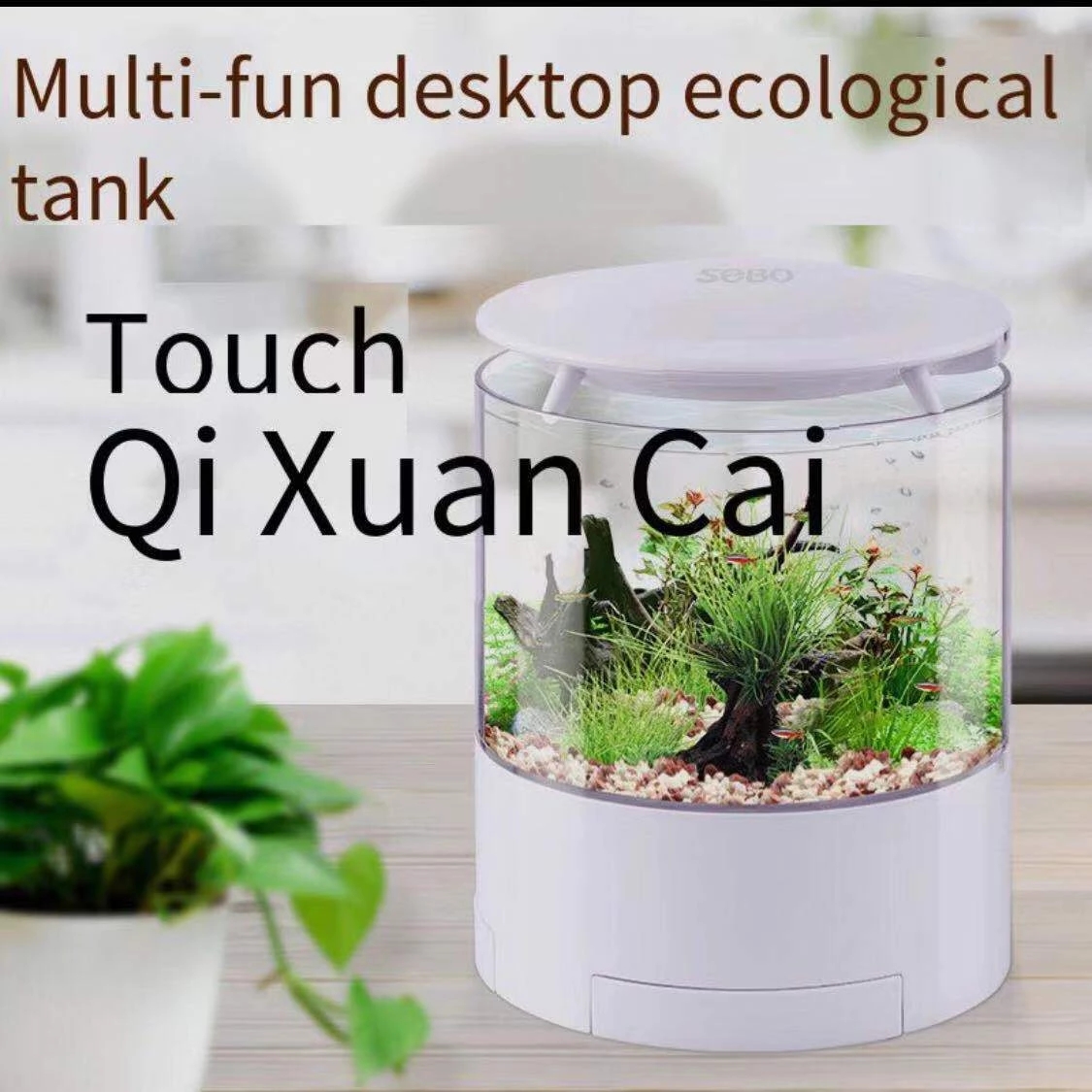 Round colorful lights desktop  – Aquarium Fish Goldfish Bewertung und Preis
