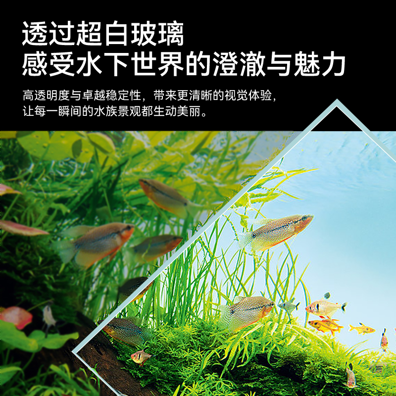 Fish tank living room 2025 new – Aquarium Fish Dragon Bewertung und Preis
