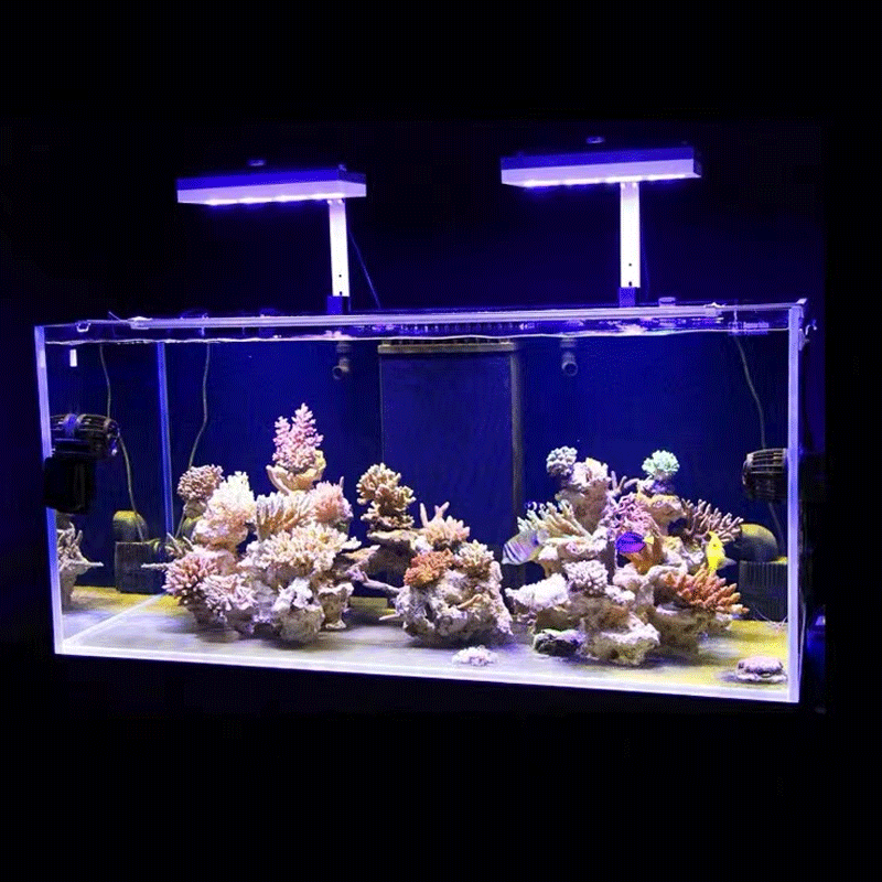 Aqua Illumination AI Hydra 32H – Aquarium Fish Black Bewertung und Preis
