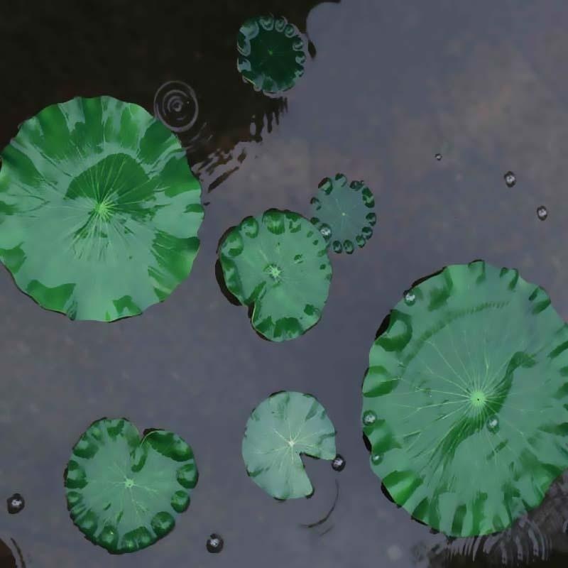 2026 Artificial Water Lily Lot – Aquarium Fish In Pond Bewertung und Preis