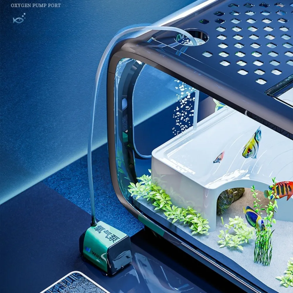 Transparent Luxury Fish Tank D – Aquarium Fish Goldfish Bewertung und Preis