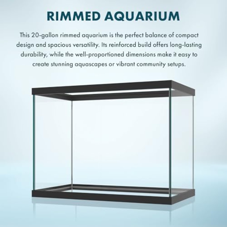 20 Gallon Glass Aquarium - 24  – Aquarium Fish Goldfish Bewertung und Preis