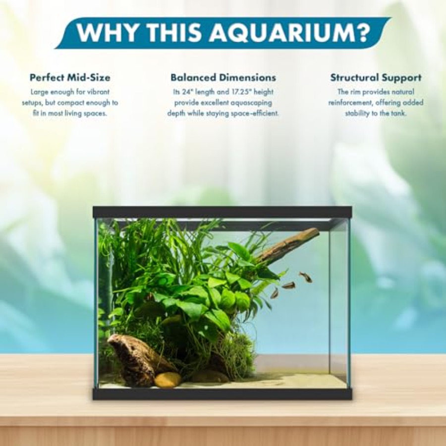 20 Gallon Glass Aquarium - 24  – Aquarium Fish Goldfish Bewertung und Preis