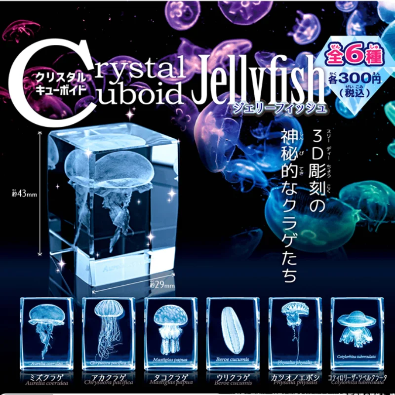 Japan Gashapon Jellyfish 3D Cr – Aquarium Fish Japan Bewertung und Preis
