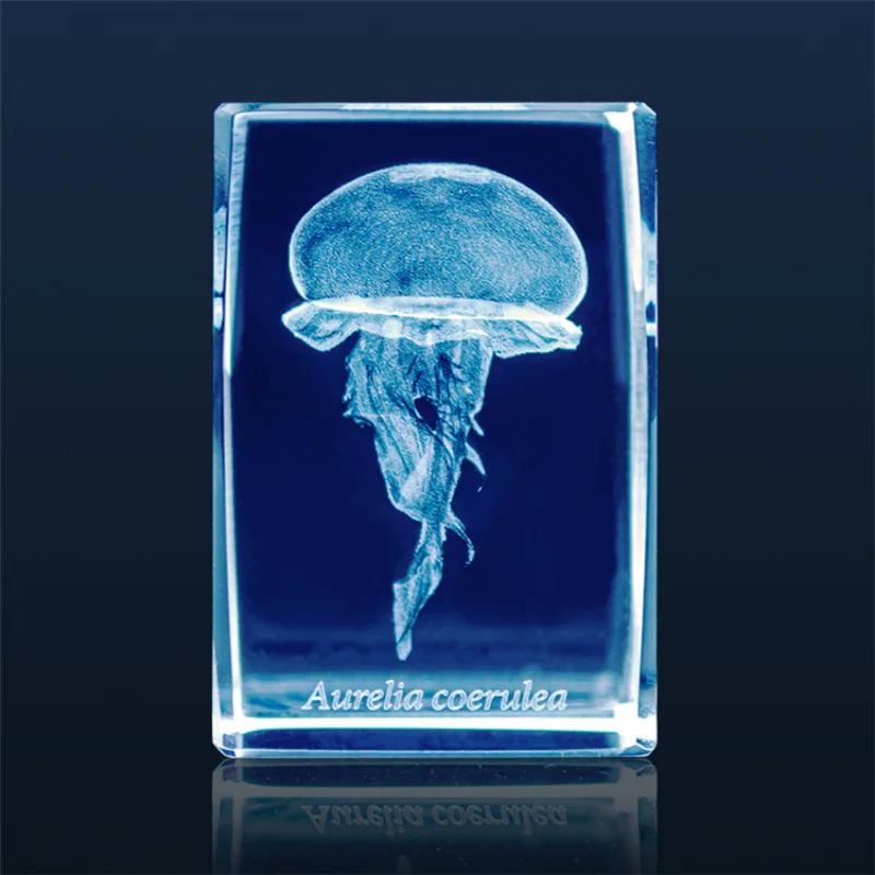 Japan Gashapon Jellyfish 3D Cr – Aquarium Fish Japan Bewertung und Preis