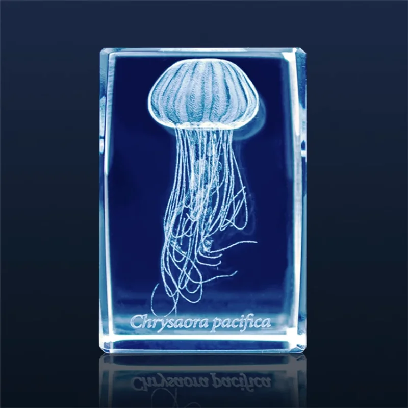 Japan Gashapon Jellyfish 3D Cr – Aquarium Fish Japan Bewertung und Preis