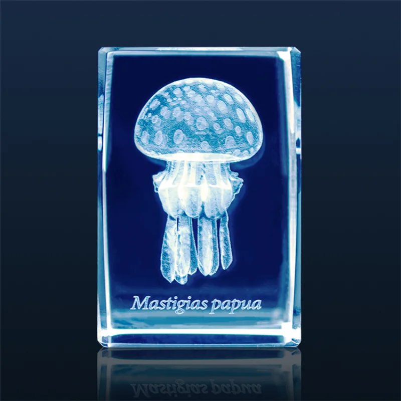 Japan Gashapon Jellyfish 3D Cr – Aquarium Fish Japan Bewertung und Preis