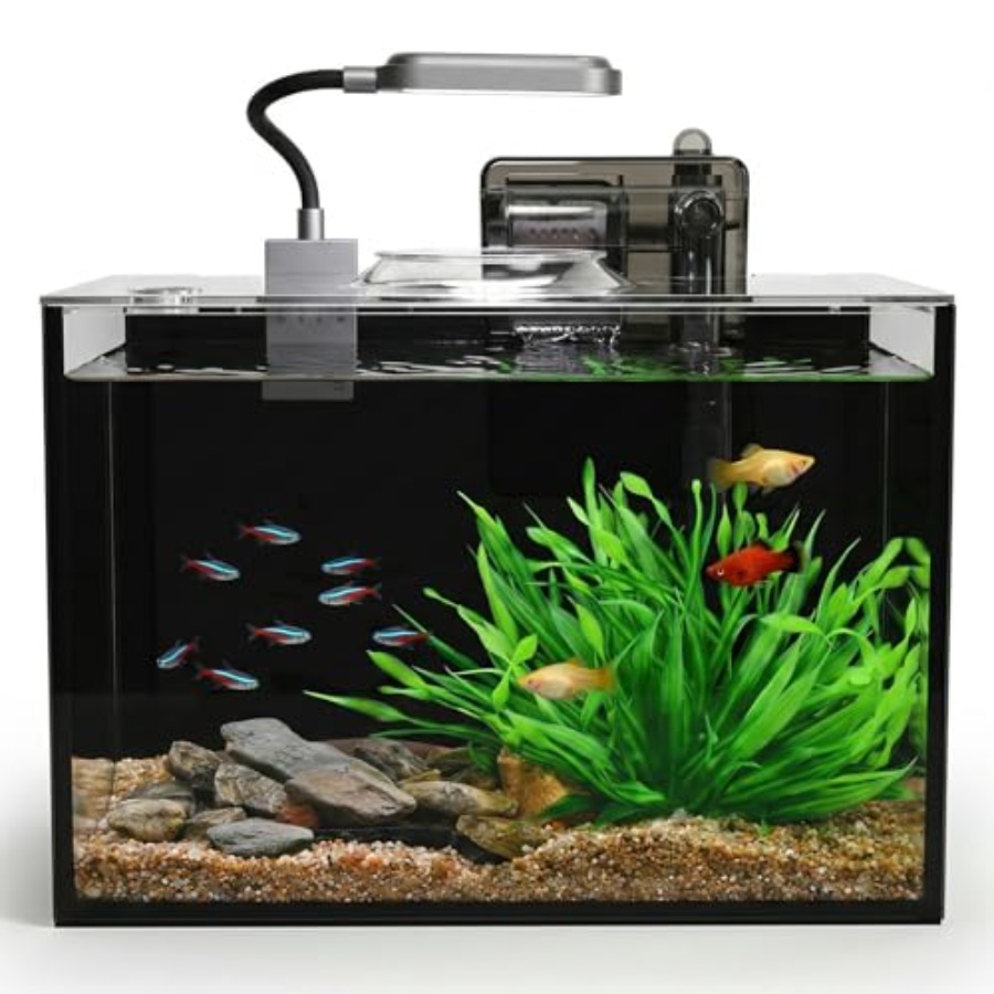 5 Small Aquarium Set Glass Fis – Aquarium Fish Goldfish Bewertung und Preis