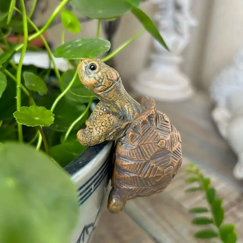 Fishing Turtle Hanging Turtle  – Aquarium Fish In Pond Bewertung und Preis