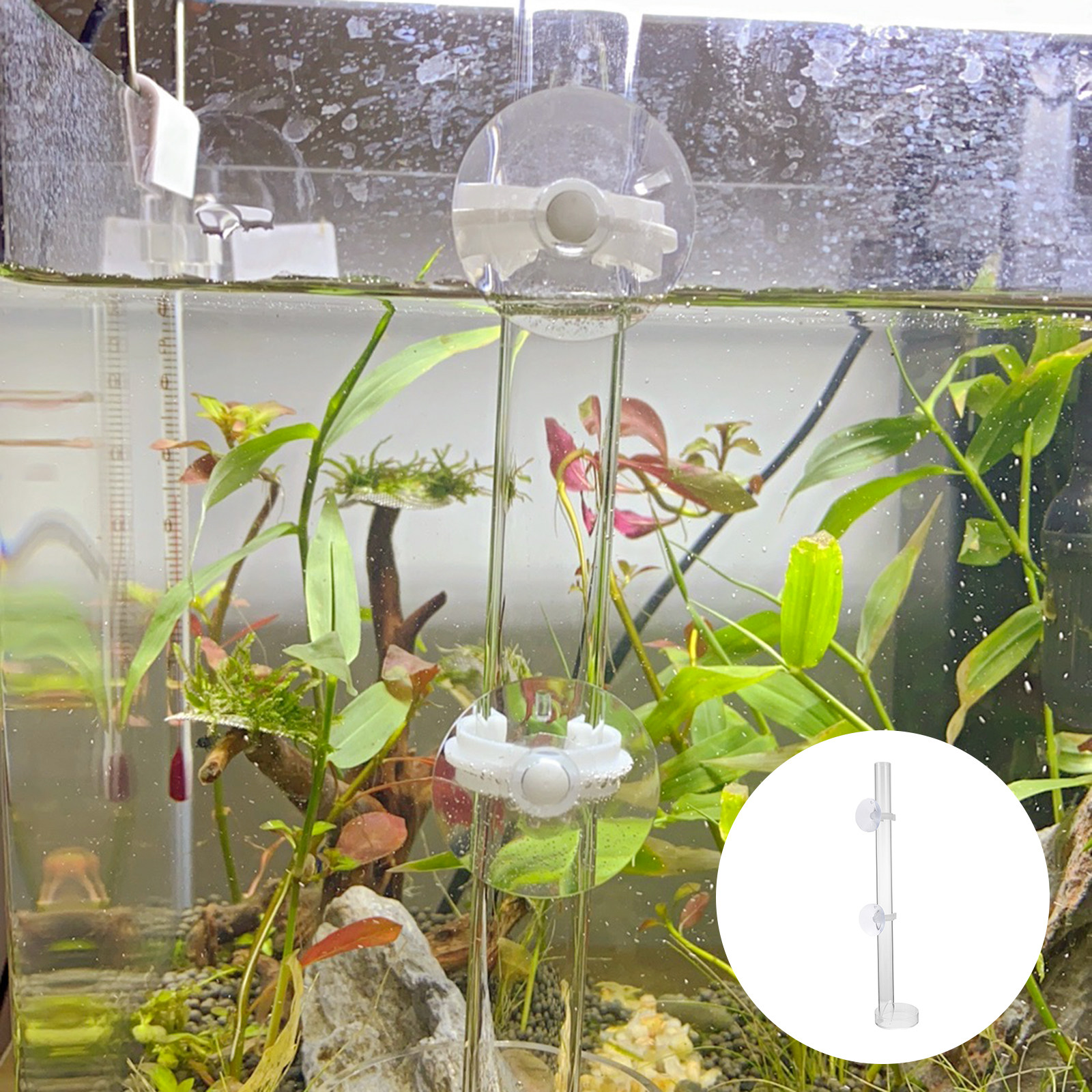 1Set Acrylic Aquarium Feeding  – Aquarium Fish Delivery Bewertung und Preis