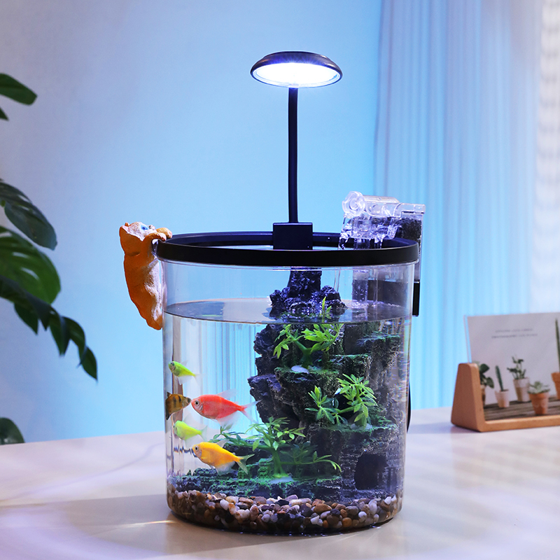 Compact Round Goldfish Bowl -  – Aquarium Fish Goldfish Bewertung und Preis