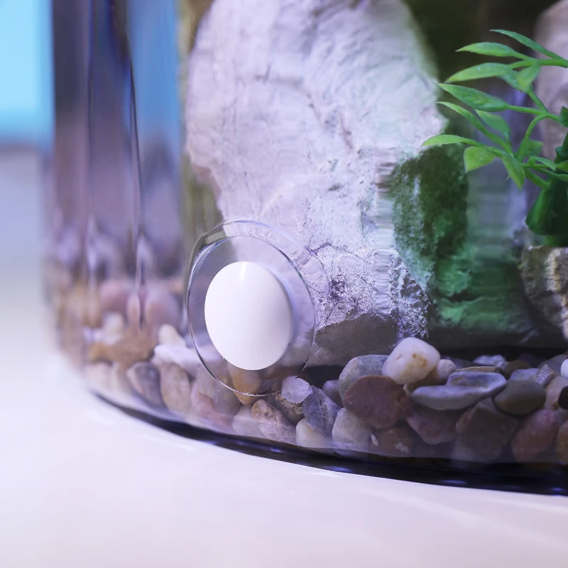 Compact Round Goldfish Bowl -  – Aquarium Fish Goldfish Bewertung und Preis