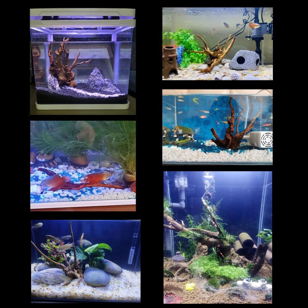 Natural Tree Trunk Aquarium De – Aquarium Fish Hiding Places Bewertung und Preis