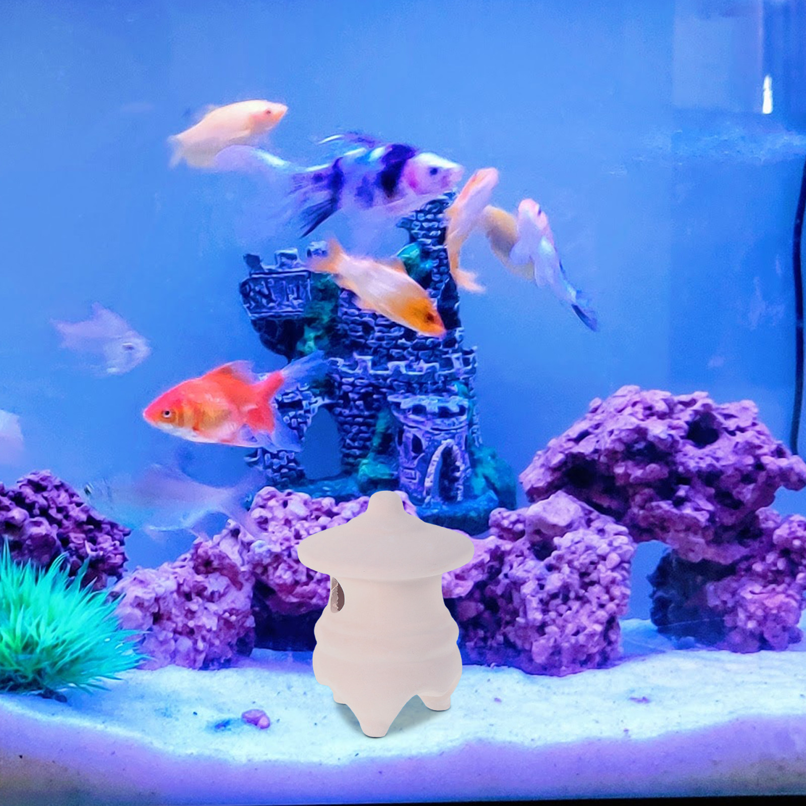 2Pcs Ceramic Fish Tank Decor F – Aquarium Fish Japanese Bewertung und Preis