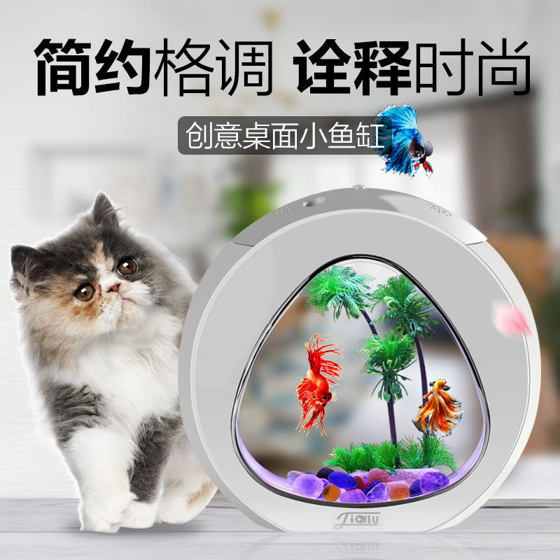 Jialu creative desktop fish ta – Aquarium Fish Delivery Bewertung und Preis