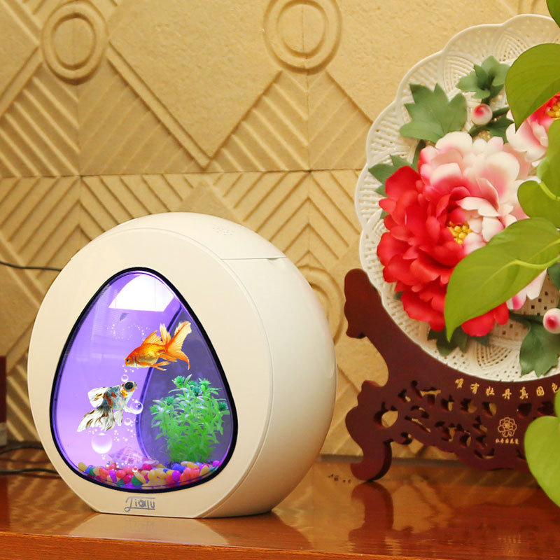 Jialu creative desktop fish ta – Aquarium Fish Delivery Bewertung und Preis