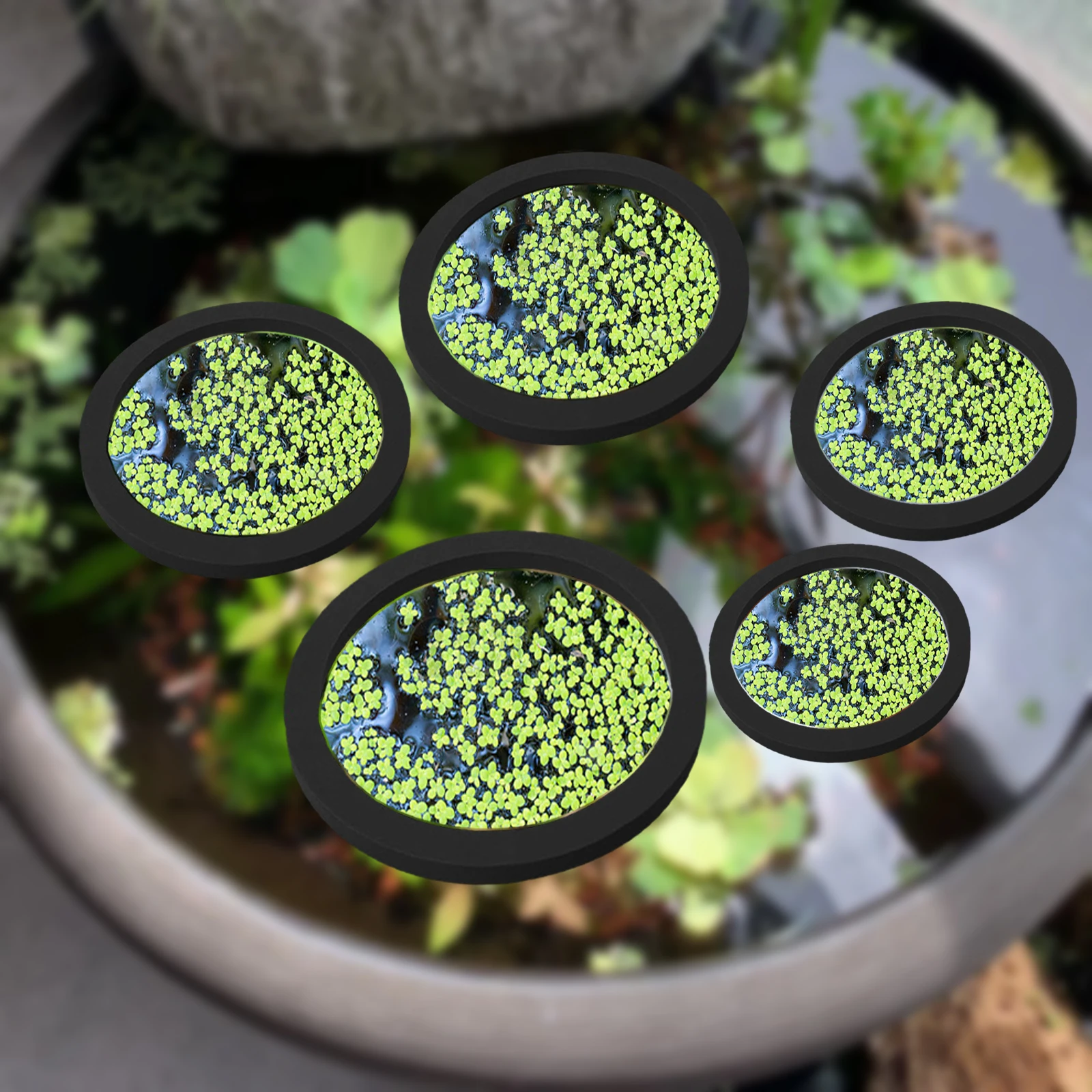 5Pcs EVA Fish Feeding Ring Aqu – Aquarium Fish In Pond Bewertung und Preis