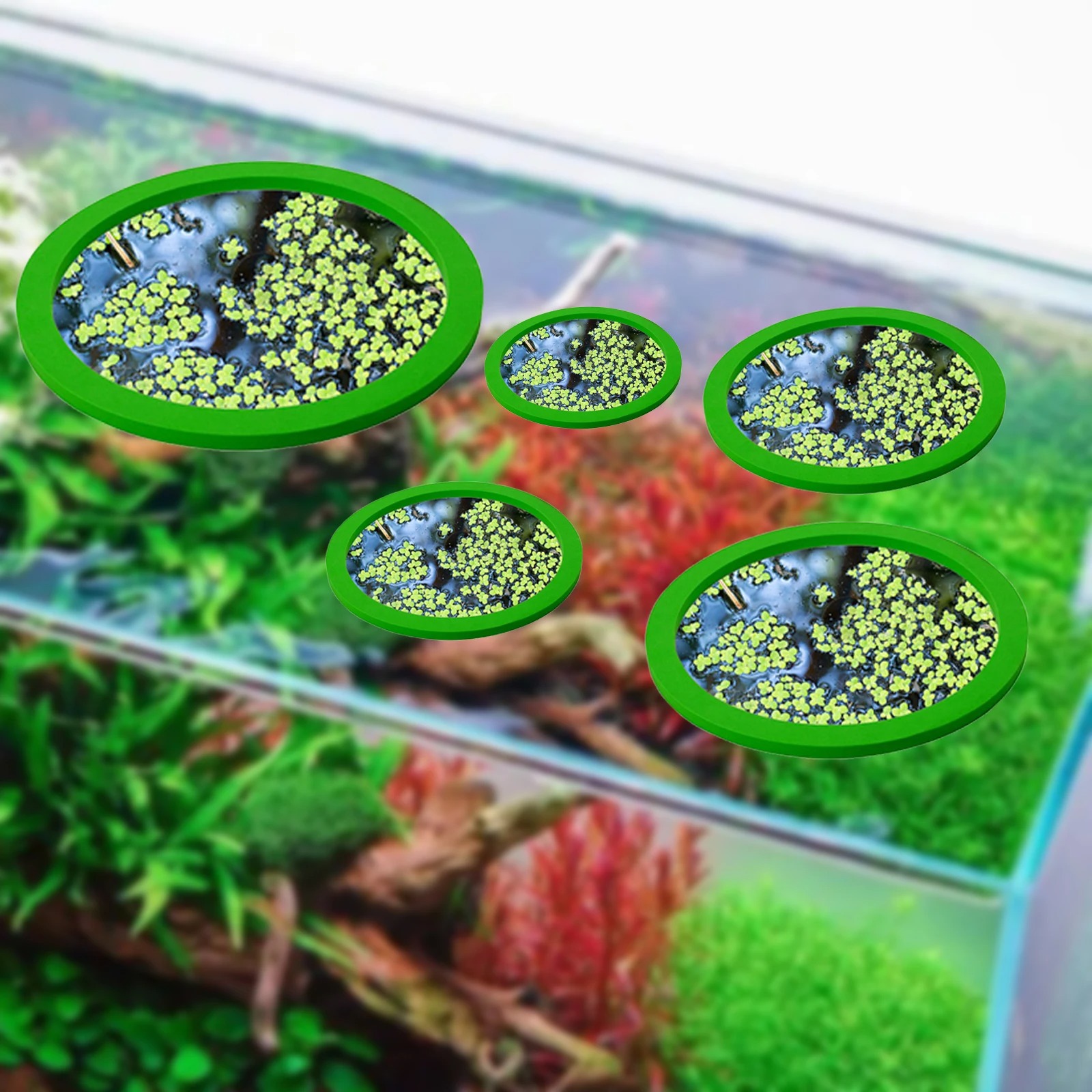 5Pcs EVA Fish Feeding Ring Aqu – Aquarium Fish In Pond Bewertung und Preis