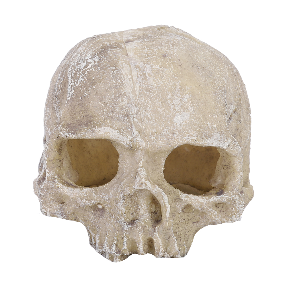 Resin Simulated Head Bone Skul – Aquarium Fish Hiding Places Bewertung und Preis