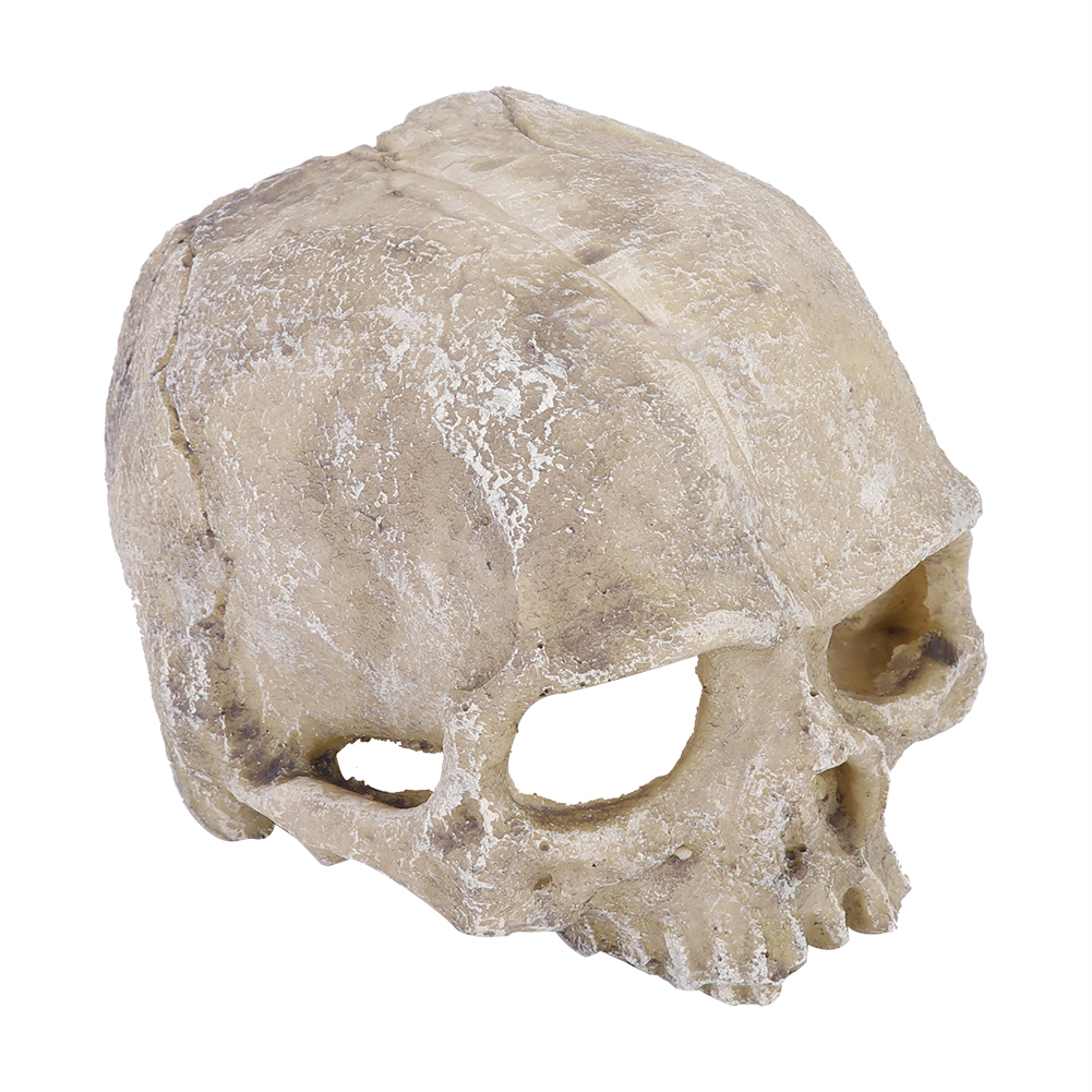 Resin Simulated Head Bone Skul – Aquarium Fish Hiding Places Bewertung und Preis