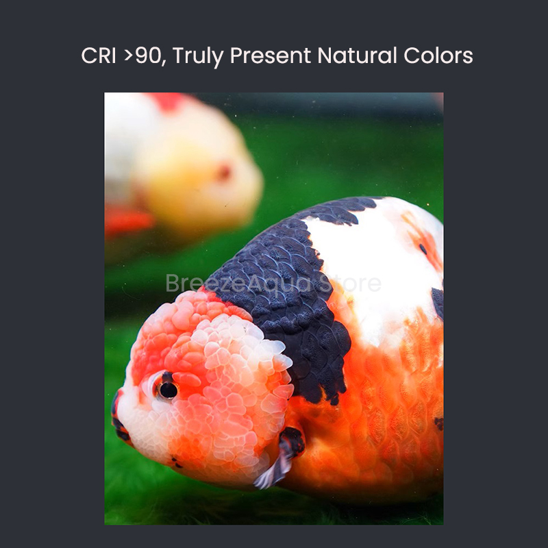 MAYIN Super Colour 100W Freshw – Aquarium Fish Goldfish Bewertung und Preis