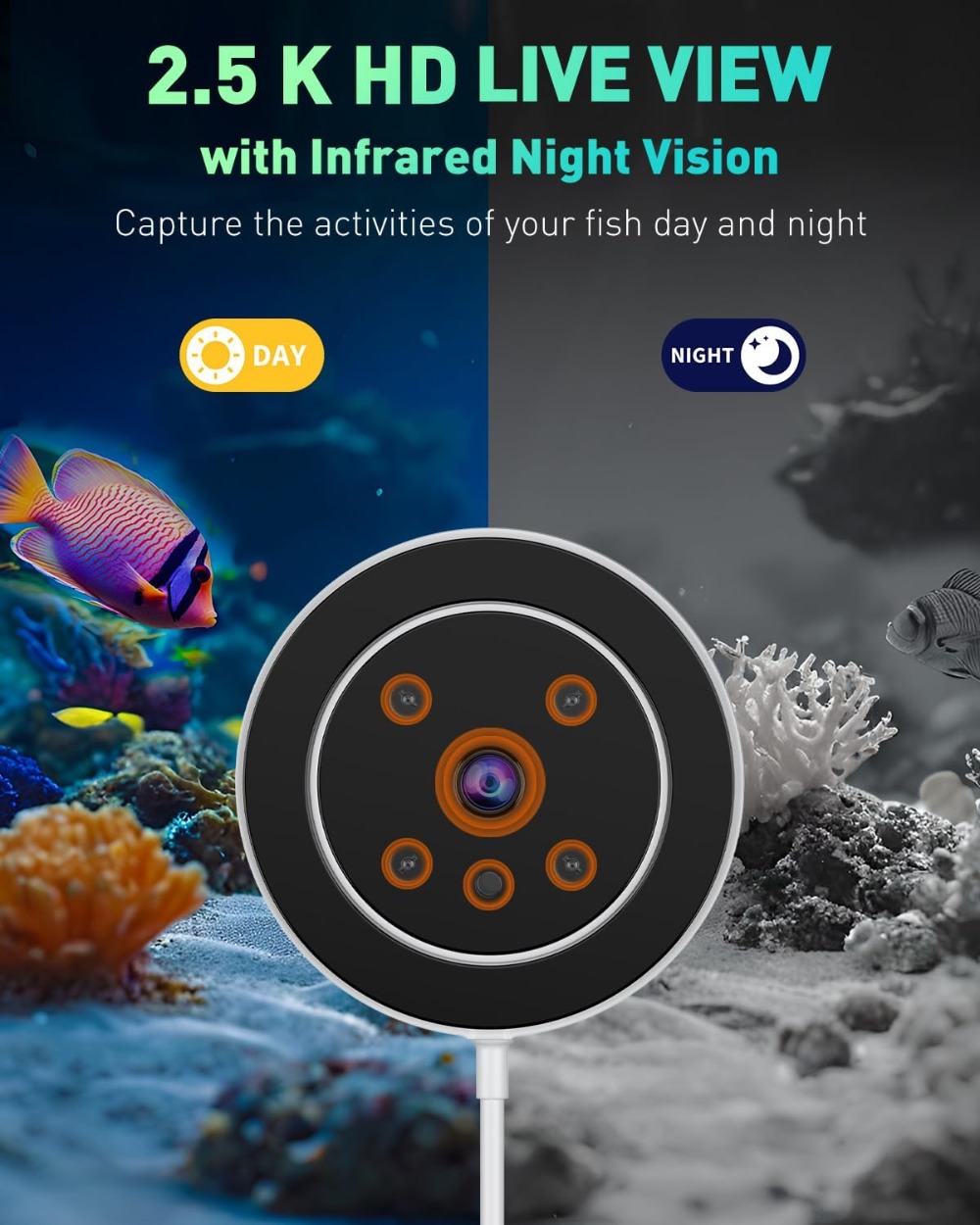 WiFi Automatic Fish Feeder for – Aquarium Fish Videos Bewertung und Preis