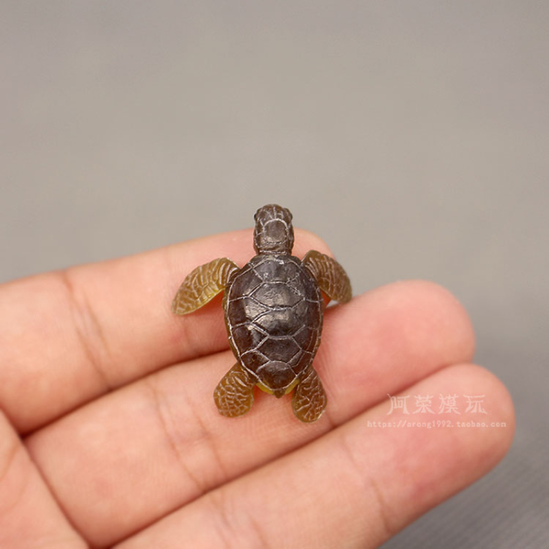Marine Life Sea Turtle Model O – Aquarium Fish Japan Bewertung und Preis