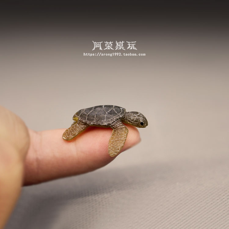 Marine Life Sea Turtle Model O – Aquarium Fish Japan Bewertung und Preis