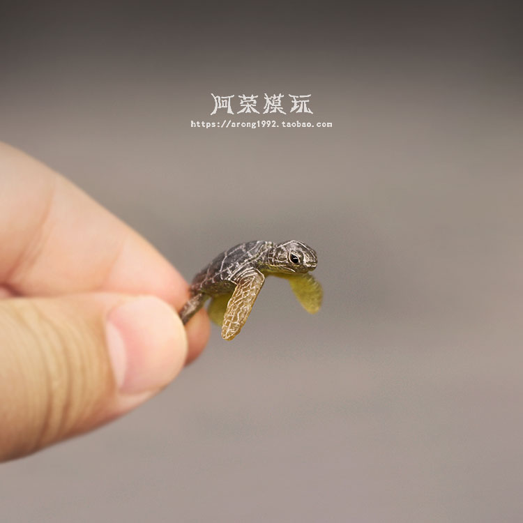 Marine Life Sea Turtle Model O – Aquarium Fish Japan Bewertung und Preis