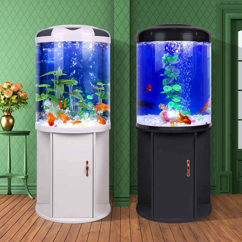 Fish tank living room Semicirc – Aquarium Fish Goldfish Bewertung und Preis