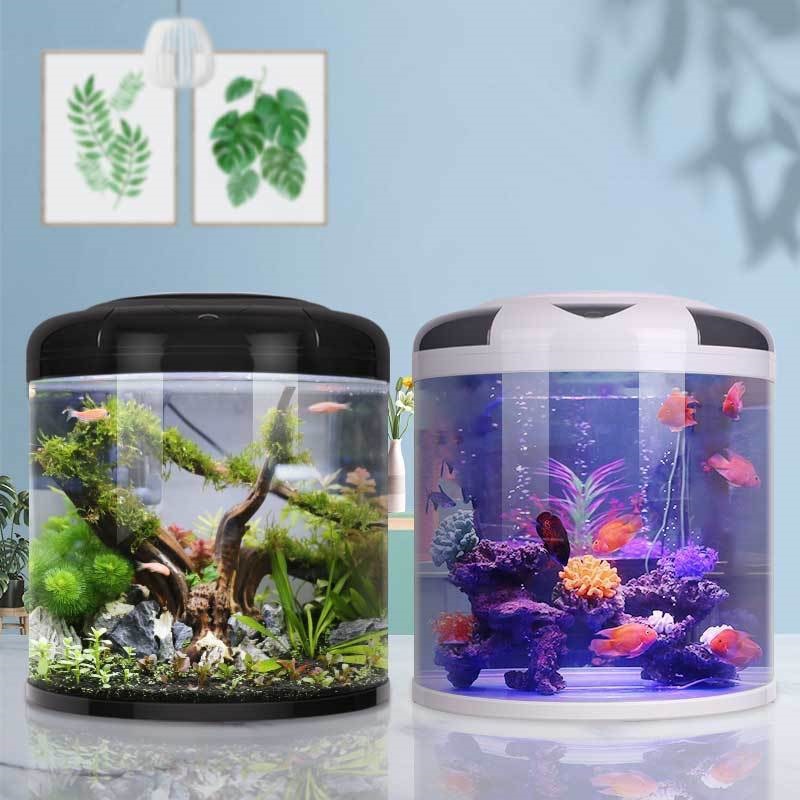 Fish tank living room Semicirc – Aquarium Fish Goldfish Bewertung und Preis