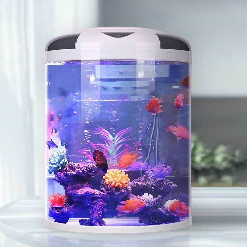 Fish tank living room Semicirc – Aquarium Fish Goldfish Bewertung und Preis